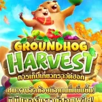 สล็อต-Groundhog-Harvest_phone_new_logo-min.jpg